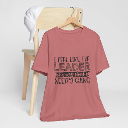 A red t-shirt with a humorous text printed on it, hanging on a wooden hanger.